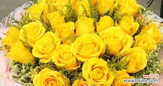 探寻绿玫瑰的花语及其象征意义 绿玫瑰的花语及其美丽意涵