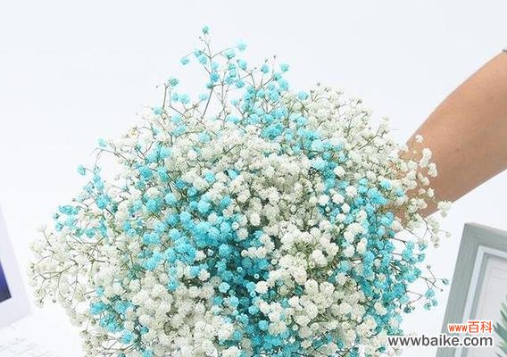 星光璀璨 满天星