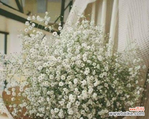 星光璀璨 满天星