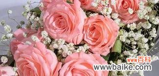 探究11朵玫瑰花束所代表的深刻情感 11朵玫瑰花语的意义及象征