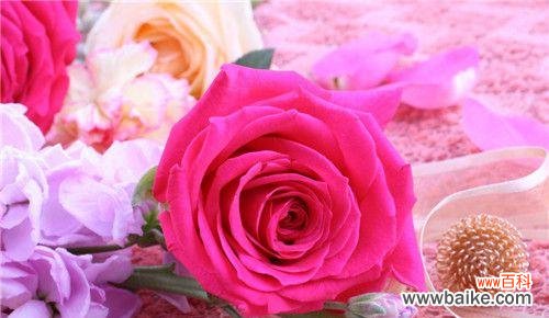 探索玫瑰花语 三朵玫瑰所蕴含的深刻含义