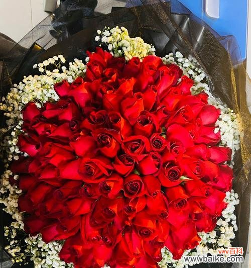 探究玫瑰花背后的深层含义 玫瑰花的意义与象征