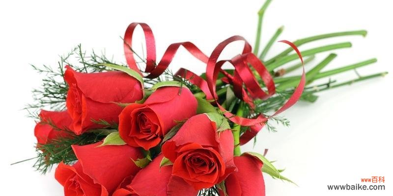 了解玫瑰花所代表的不同含义及数量的重要性 玫瑰花的象征意义与数量