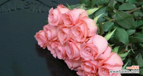 绽放在心灵深处的温馨诗意 玫瑰花