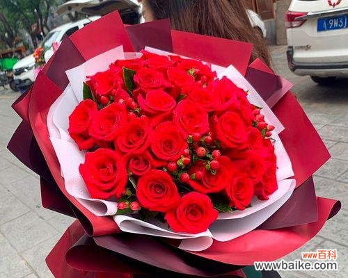 以33朵红玫瑰花的花语为主题 红玫瑰的花语