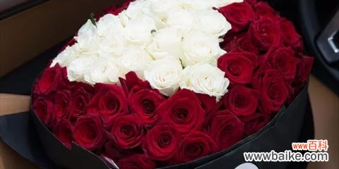 探寻玫瑰花朵数量背后的深意 玫瑰花朵数的含义