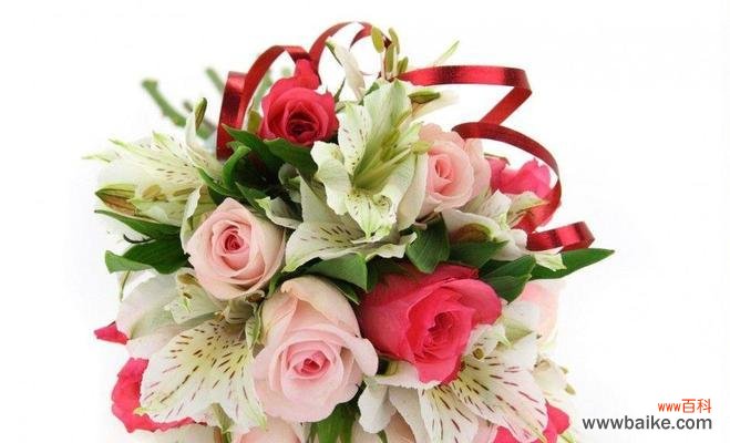 探索玫瑰花的深意与情感表达 玫瑰花花语与代表意义