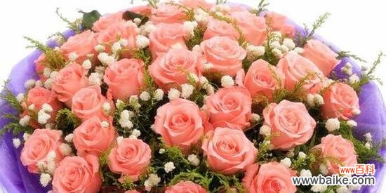 玫瑰花朵数之花语解读与传达 玫瑰花朵数的含义及象征意义