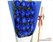 传承千年的绚丽之美 蓝色妖姬