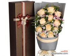 以玫瑰花数量的花语为主题探究爱情的表达方式 花开玫瑰，花语传情