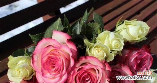 以玫瑰花数量的花语为主题探究爱情的表达方式 花开玫瑰,花语传情