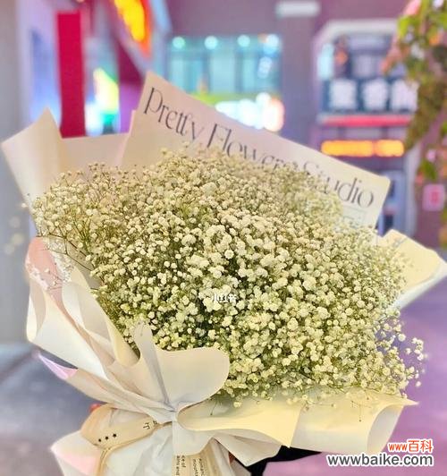 揭秘满天星的神秘之美 白色的满天星