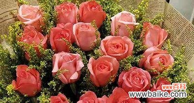 玫瑰花的浪漫传说与不同颜色的意义 玫瑰花的象征意义与文化内涵