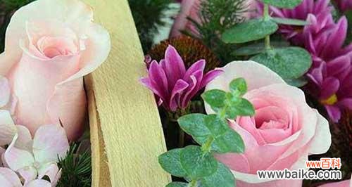 探寻玫瑰花语和寓意 玫瑰花语和寓意的美丽世界