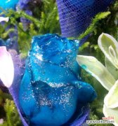 探寻玫瑰花的深层意义 玫瑰花的浪漫与象征