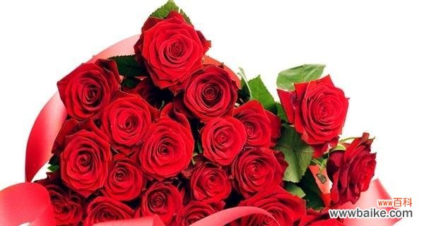 揭秘玫瑰花所代表的15种不同情感 玫瑰花语的深刻含义