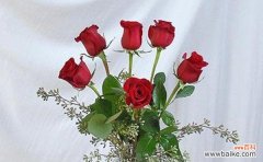 玫瑰花语的奥秘与寓意解读 玫瑰花语之以玫瑰送几朵代表的意义