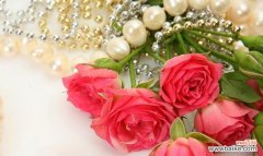 探索玫瑰花数量对情感和意义的影响 花语之玫瑰的数量寓意