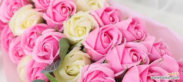 揭开玫瑰花背后的隐藏花语之谜 以玫瑰颜色代表的花语