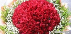 解读花束中的秘密 玫瑰花的花语之61朵玫瑰的意义