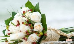 62朵玫瑰花语解密 玫瑰花的花语解读——以62朵玫瑰代表的意义