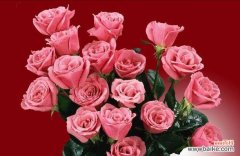 解读99朵玫瑰花所代表的神秘涵义 99朵玫瑰花花语的深刻含义