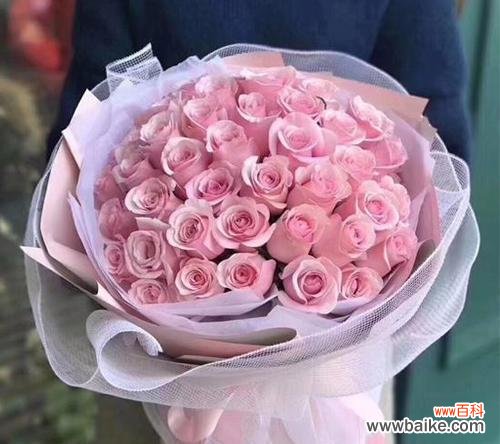 玫瑰花的数量与花语意义的奥秘 67朵玫瑰花的花语及其意义解析