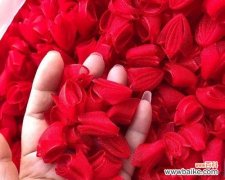 探索八瓣花的文化内涵 八瓣花的寓意与象征