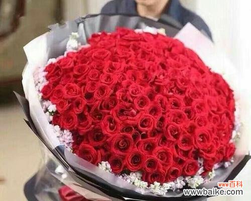 探寻19朵玫瑰所代表的丰富花语世界 19朵玫瑰的花语及其含义