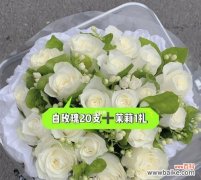 白玫瑰的象征意义与爱情寓意 白玫瑰