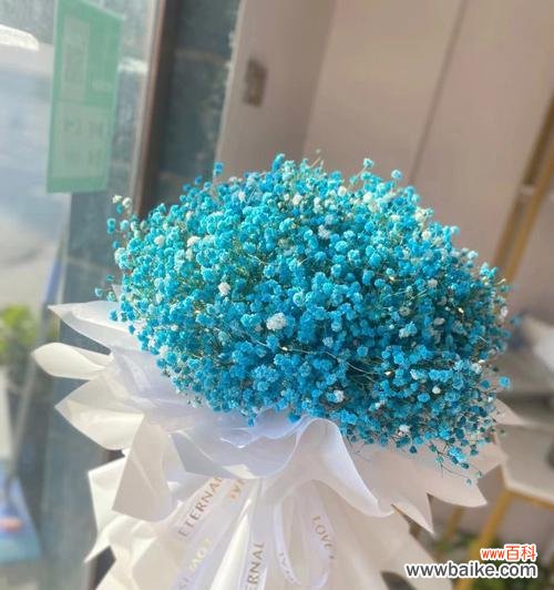 用七彩花语编织的童话世界 缤纷绽放,满天星花语