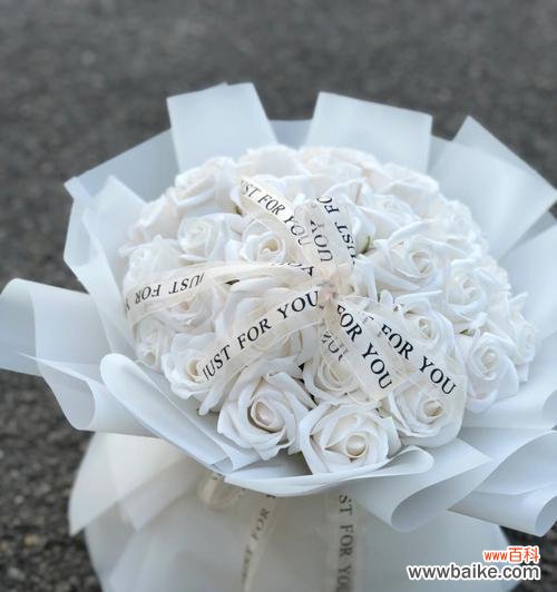 探秘白玫瑰的美丽寓意与深刻含义 白玫瑰花语