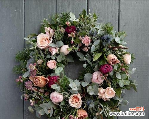 探寻侧柏花开的含义 侧柏花开，传递的寓意与花语是什么