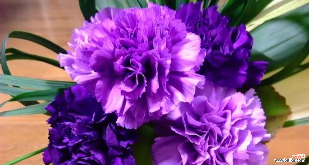 以花为媒 花开如诗，母爱绽放