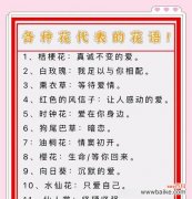 在花开的季节，我们找到了新的自我 以菊花为主题的重生之旅