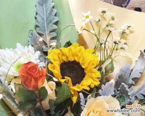 以表示感谢的花语为主题的文章 感谢的花—用鲜花传递感恩之情