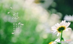 以花语传达积极向上的心愿 鲜花传递积极向上的力量