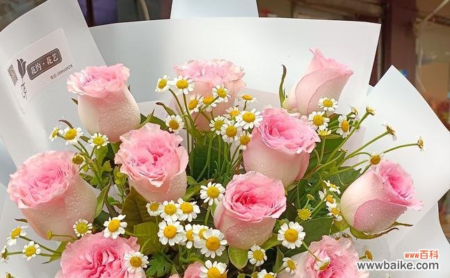 花海中的回忆与感慨 怀念的花