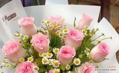 传递健康能量的花朵及其象征意义 花语中的健康之花——探寻身心健康的秘密