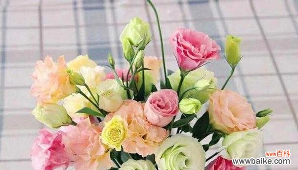 探索不同花卉与生日的契合之美 生日的花花语