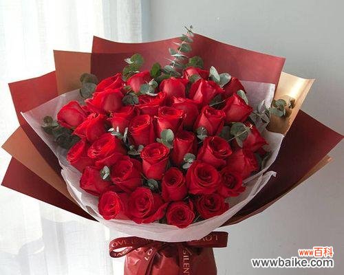 探寻红玫瑰花的浪漫与情感 红玫瑰花的象征意义