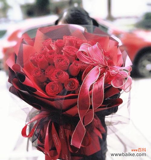 探寻红玫瑰花的浪漫与情感 红玫瑰花的象征意义