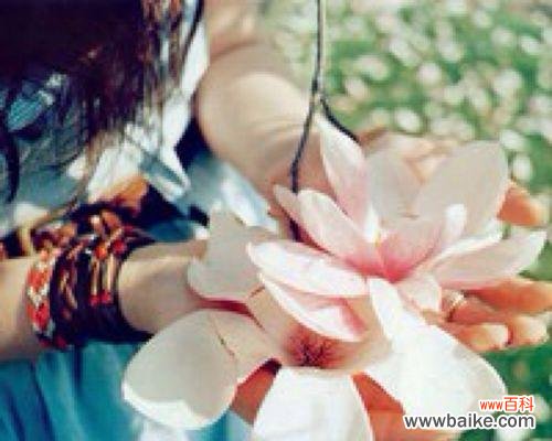 用花言莲意传达原谅的美好 以花语传递的原谅之意