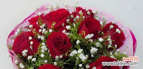 15种花朵告诉你重逢的美好时刻 花语告白