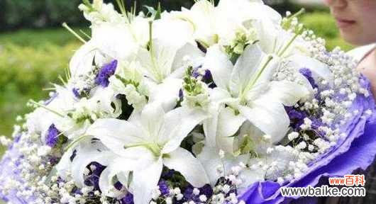 用鲜花传达情感的艺术 送女人百合花的含义