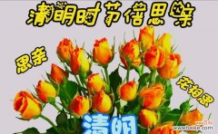 唤起悲伤情感的花朵与诗意的寄托 以表示哀思的花花语