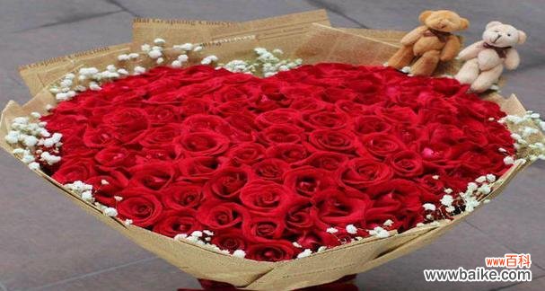 探索大戟科植物的形态 大戟科植物的主要特征及应用