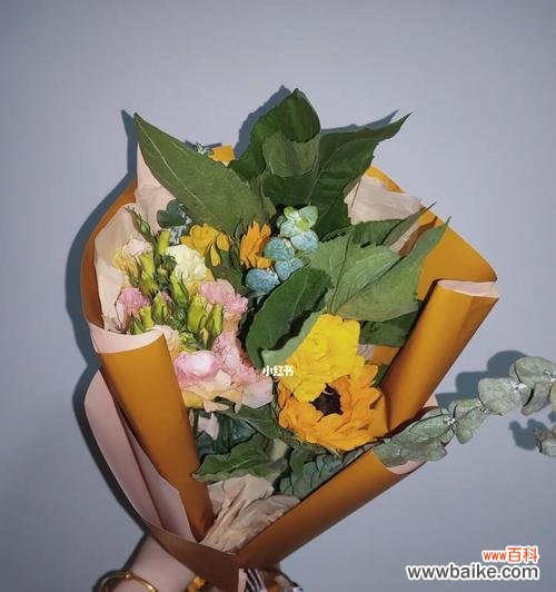 盛放向阳的希望 不放弃的花——坚持不懈的力量