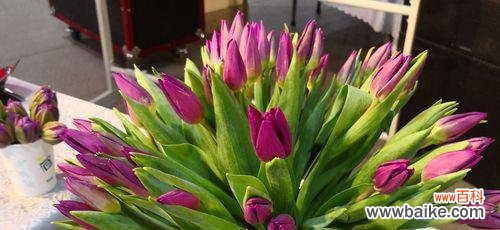 用花语表达对逝者的思念 怀念逝去亲人的花——永恒的记忆