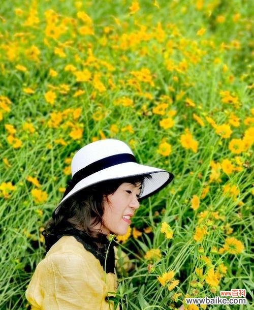 揭开离别与思念之间的花语之谜 离别之花